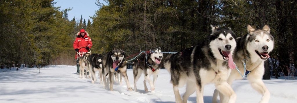 Sundog Excursions