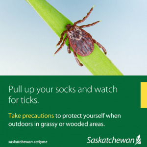 萨省政府提醒您：蜱虫季节，做好防护
